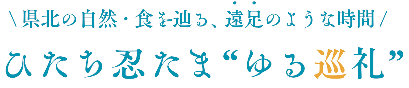 ひたち忍たま ゆる巡礼
